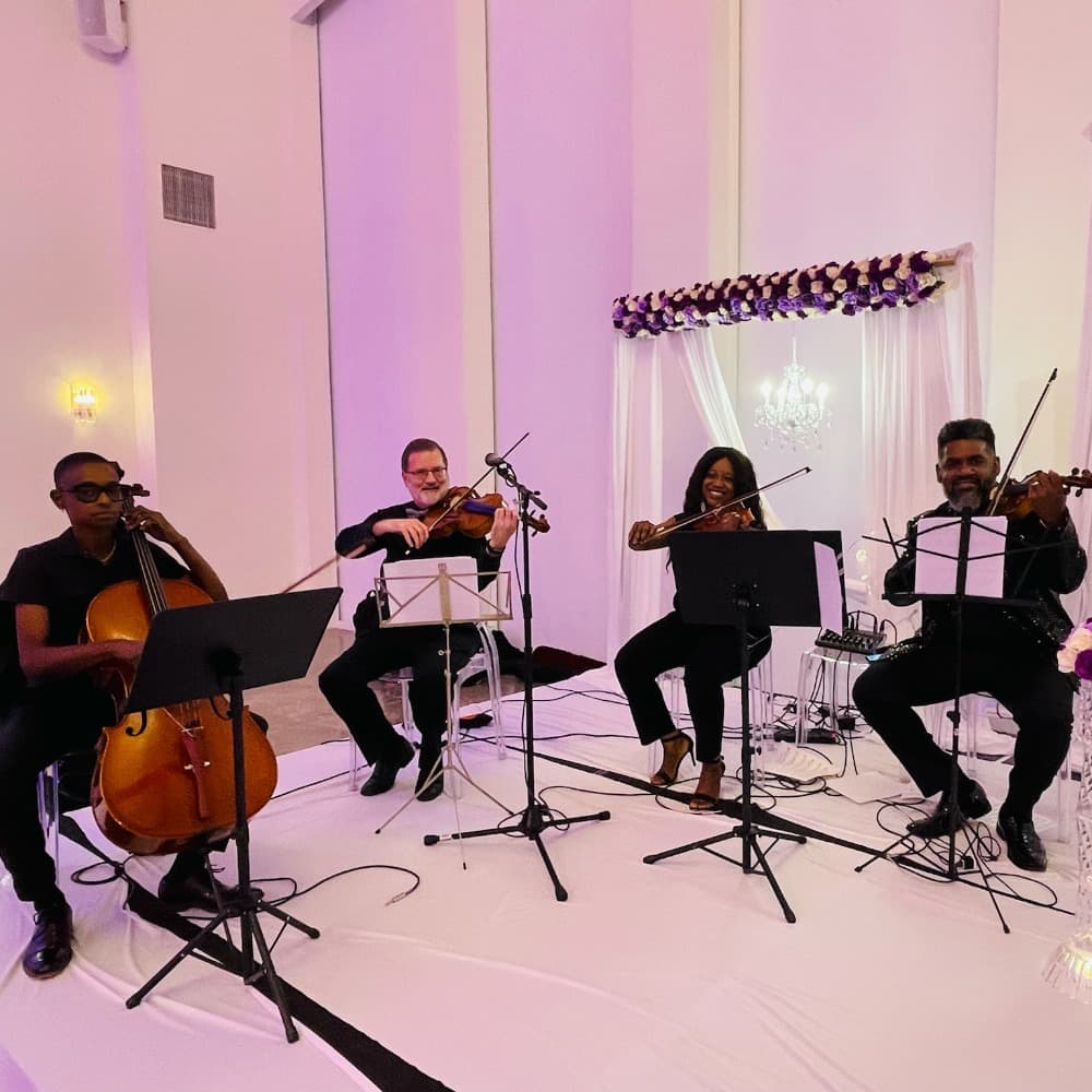 Richmond Punch Strings Profile Picture