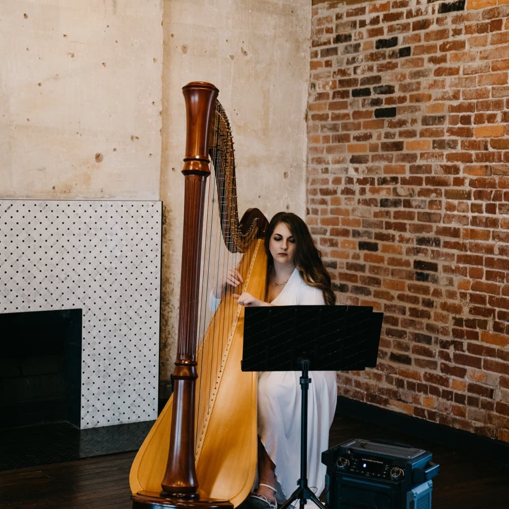 Liana Alpino, Harpist Image #1