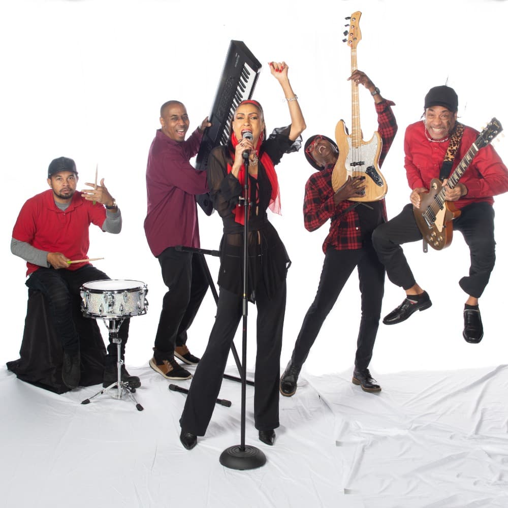 Mike Dangeroux Orchestra Image #5