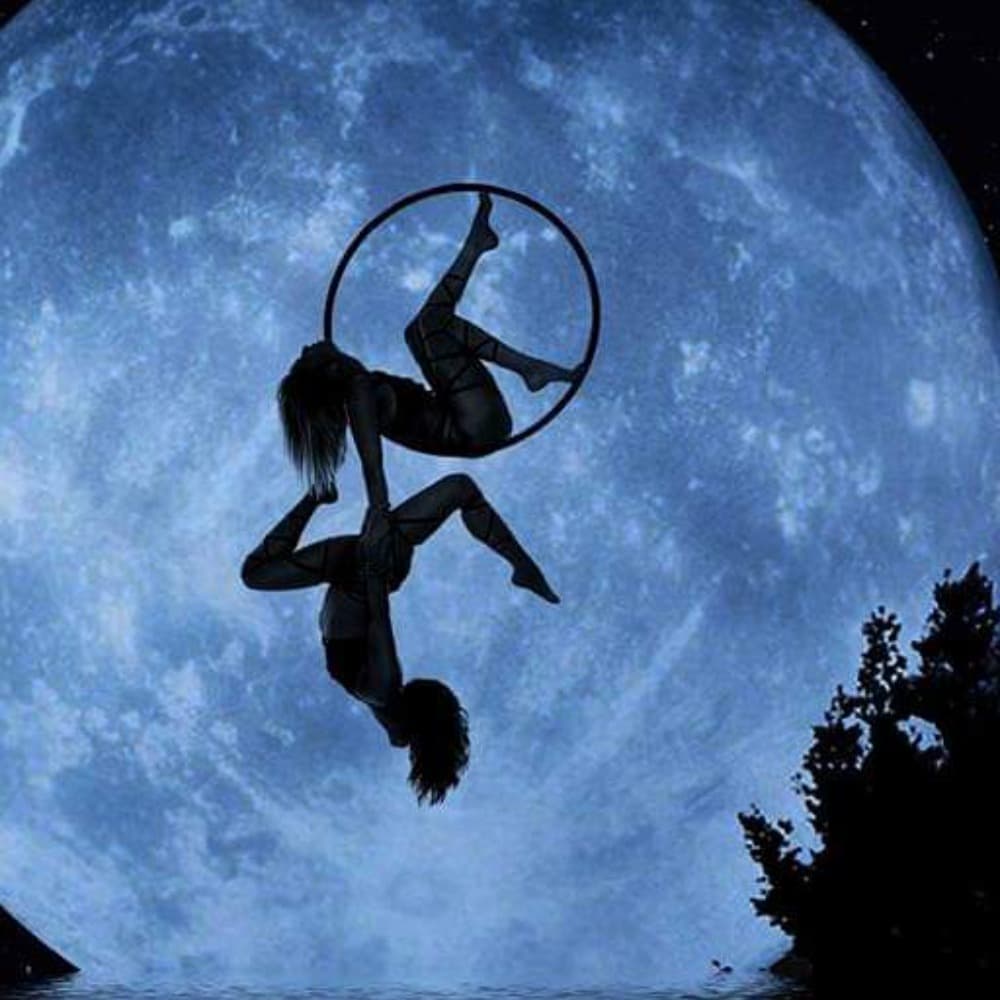 Luna Flor Image #27