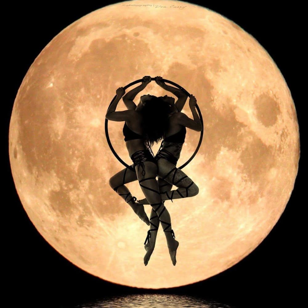 Luna Flor Image #28