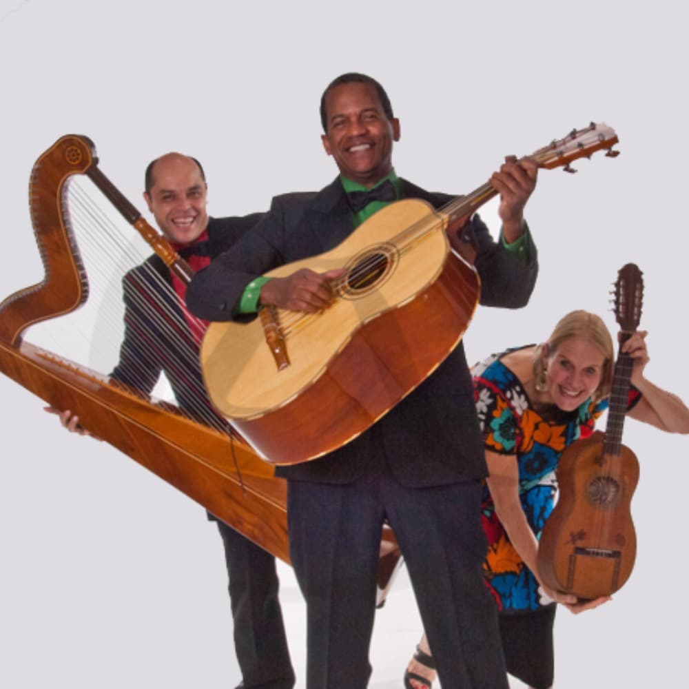 Trio de Colores Profile Picture