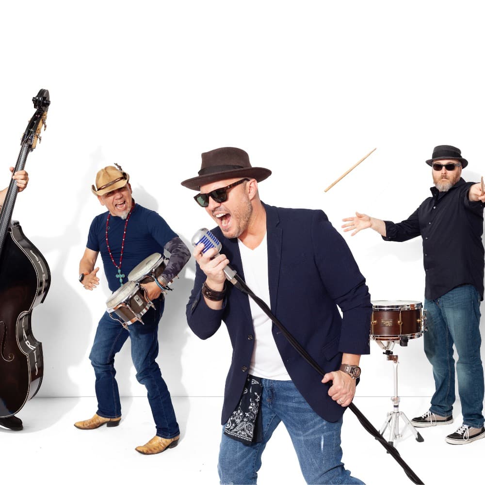 Mark Monaco and the Strayhearts Profile Picture