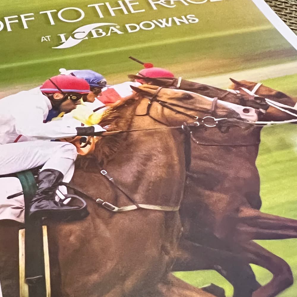 Virtual Horse Racing Image #5