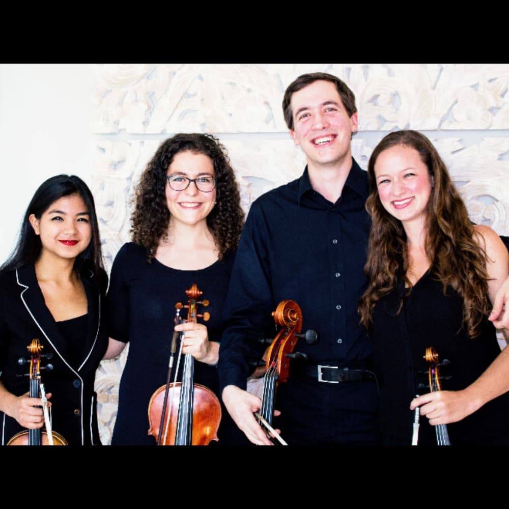 Biscayne String Quartet Profile Picture