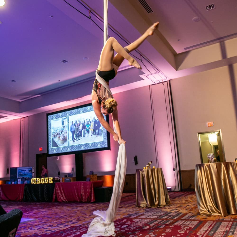 Nash-Vegas Cirque Show Image #0
