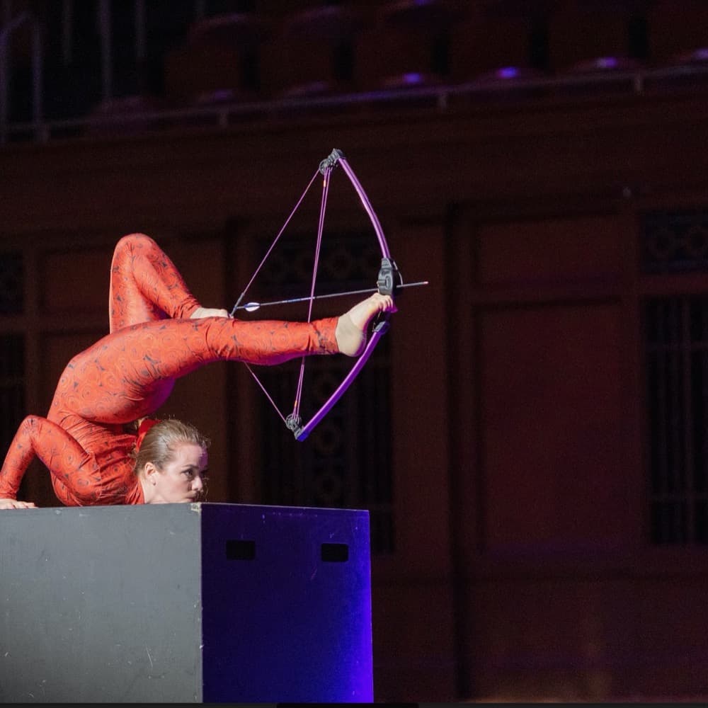 Nash-Vegas Cirque Show Image #1