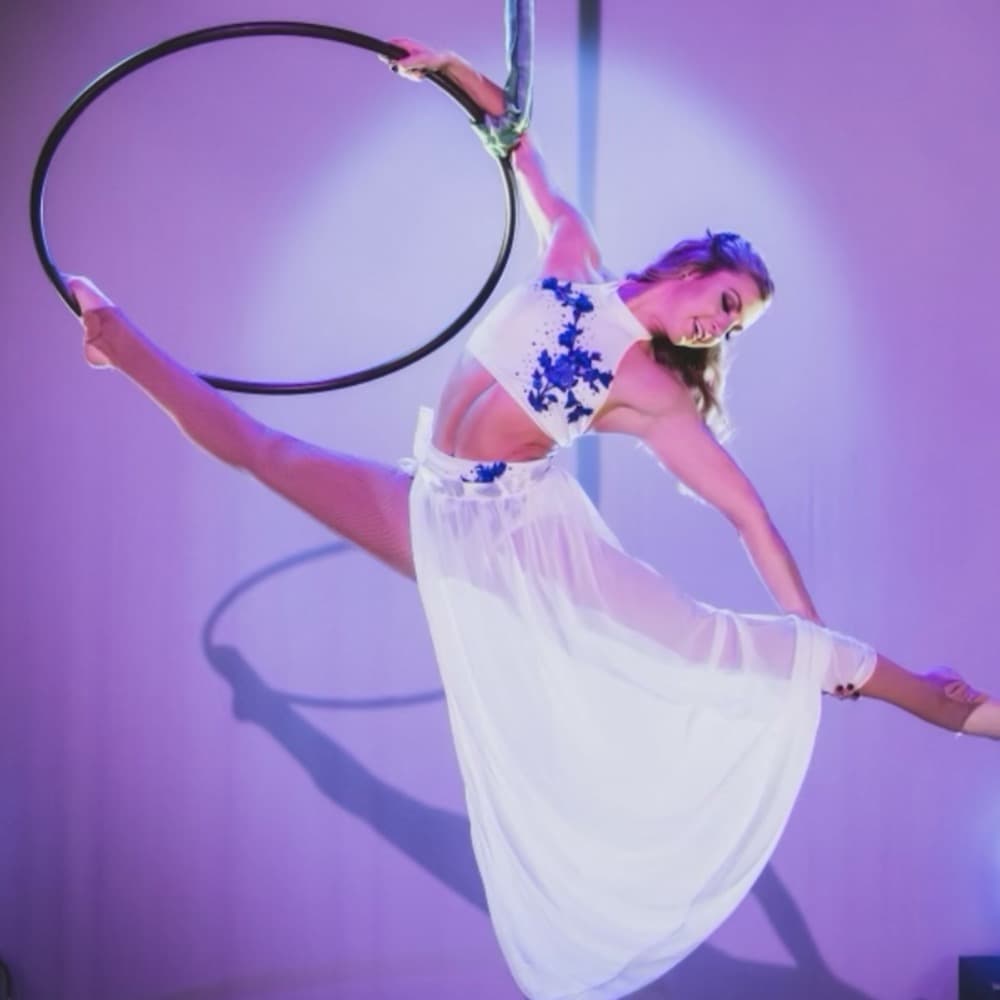 Nash-Vegas Cirque Show Image #3