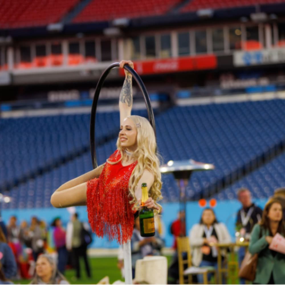 Goodness Gracious Aerialists Image #1