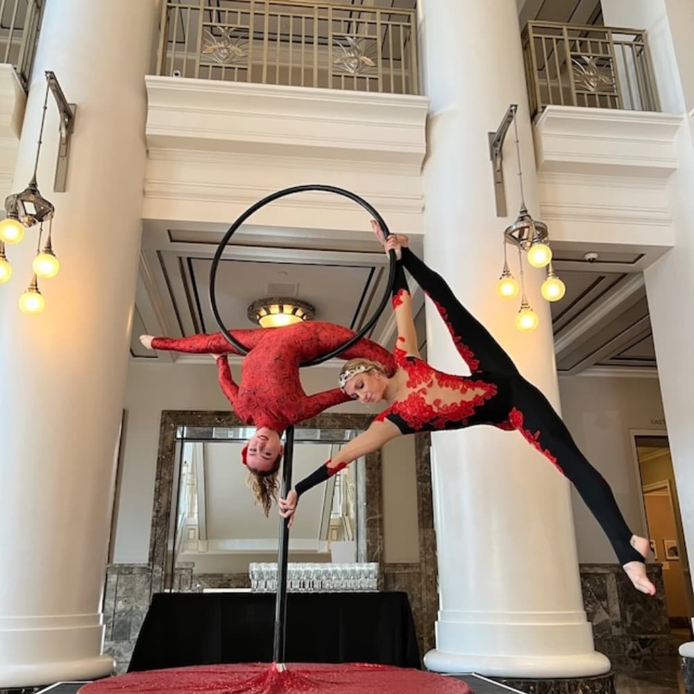 Goodness Gracious Aerialists Image #2