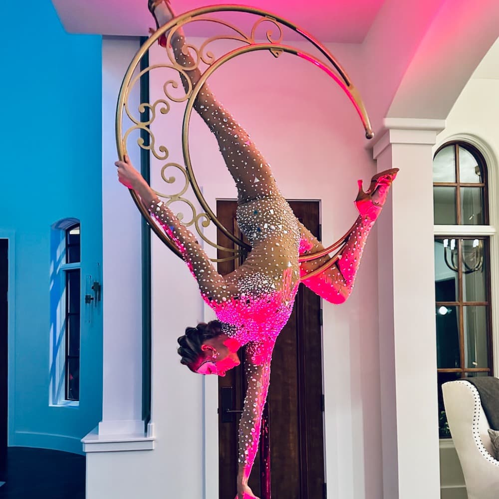 Goodness Gracious Aerialists Image #4