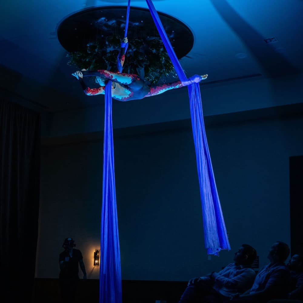 Goodness Gracious Aerialists Image #5