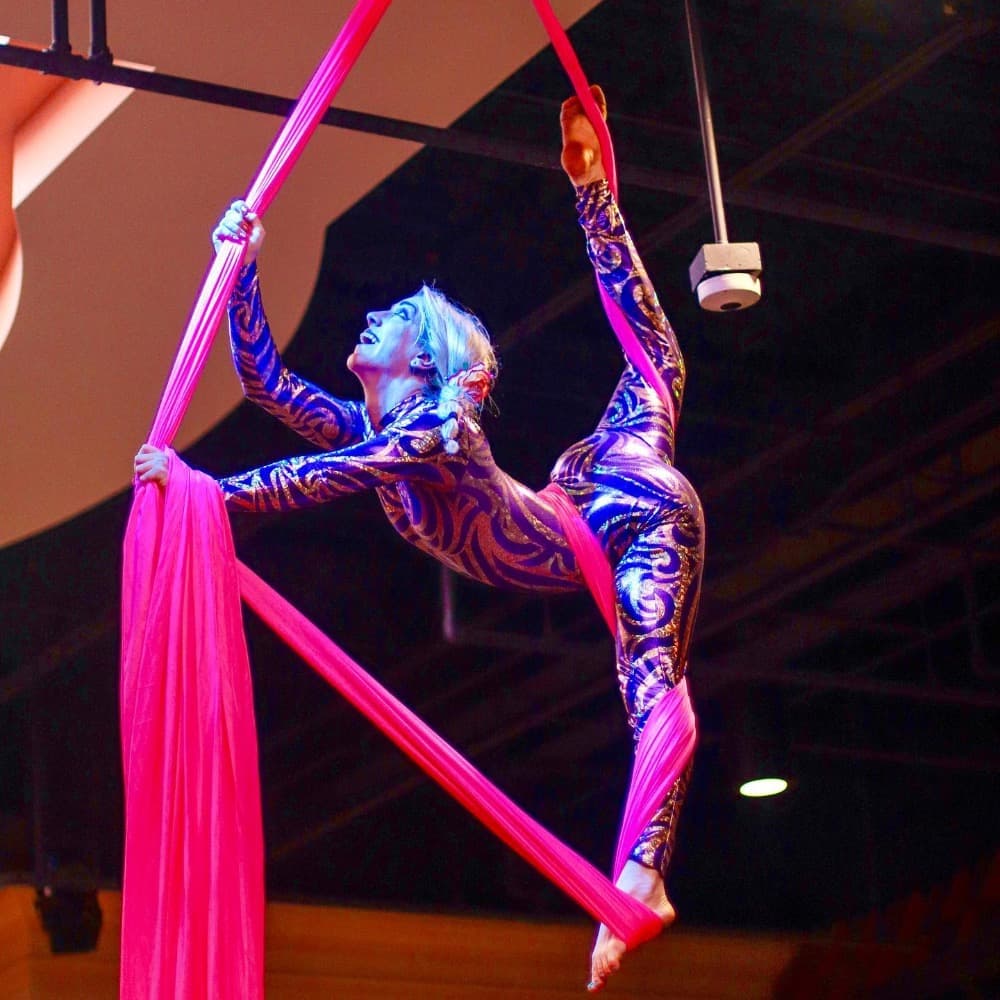 Goodness Gracious Aerialists