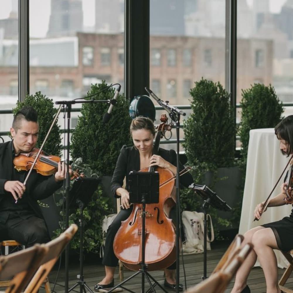 Highline Quartet Image #2