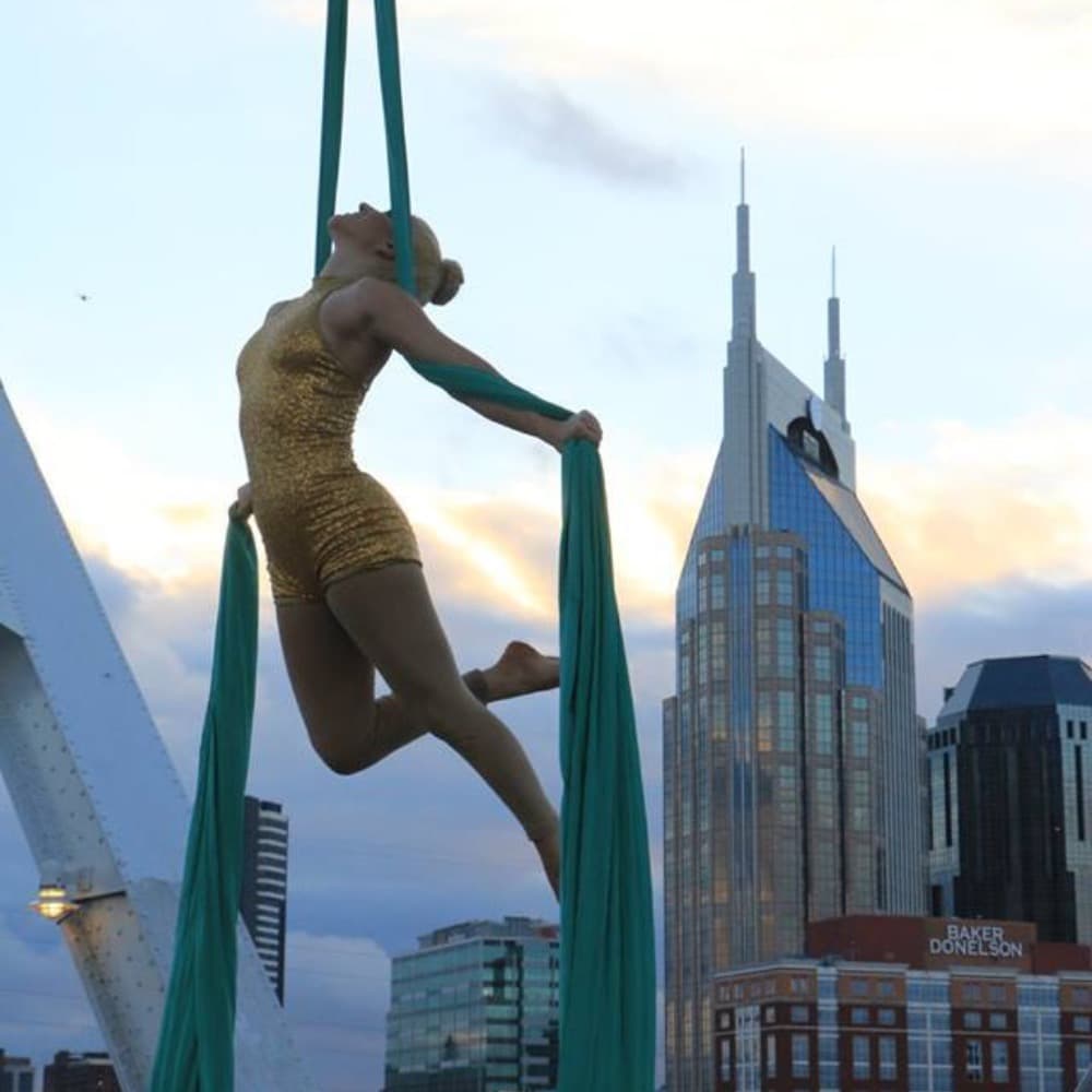 Aerialists- Nashville Image #1