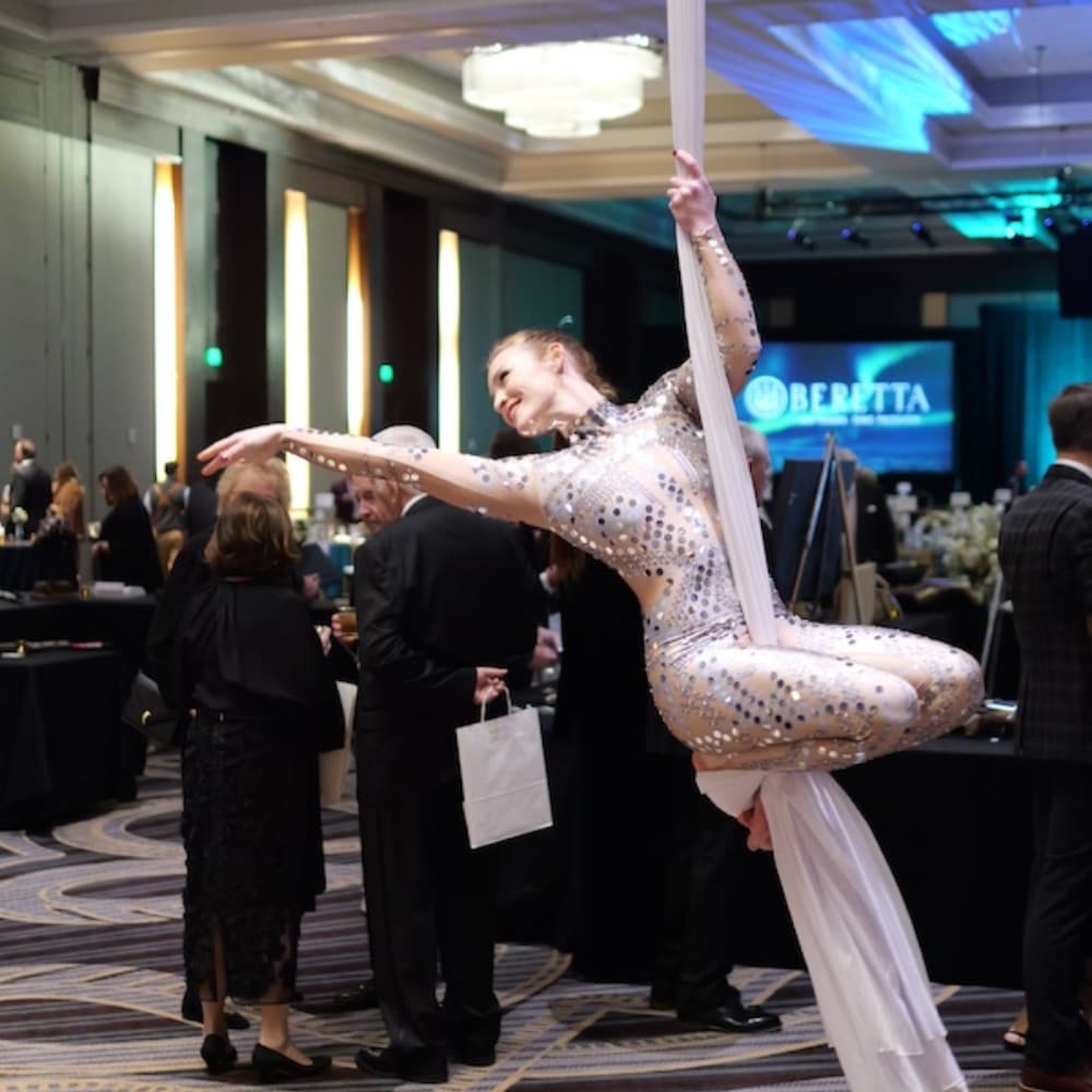 Aerialists- Nashville Image #2