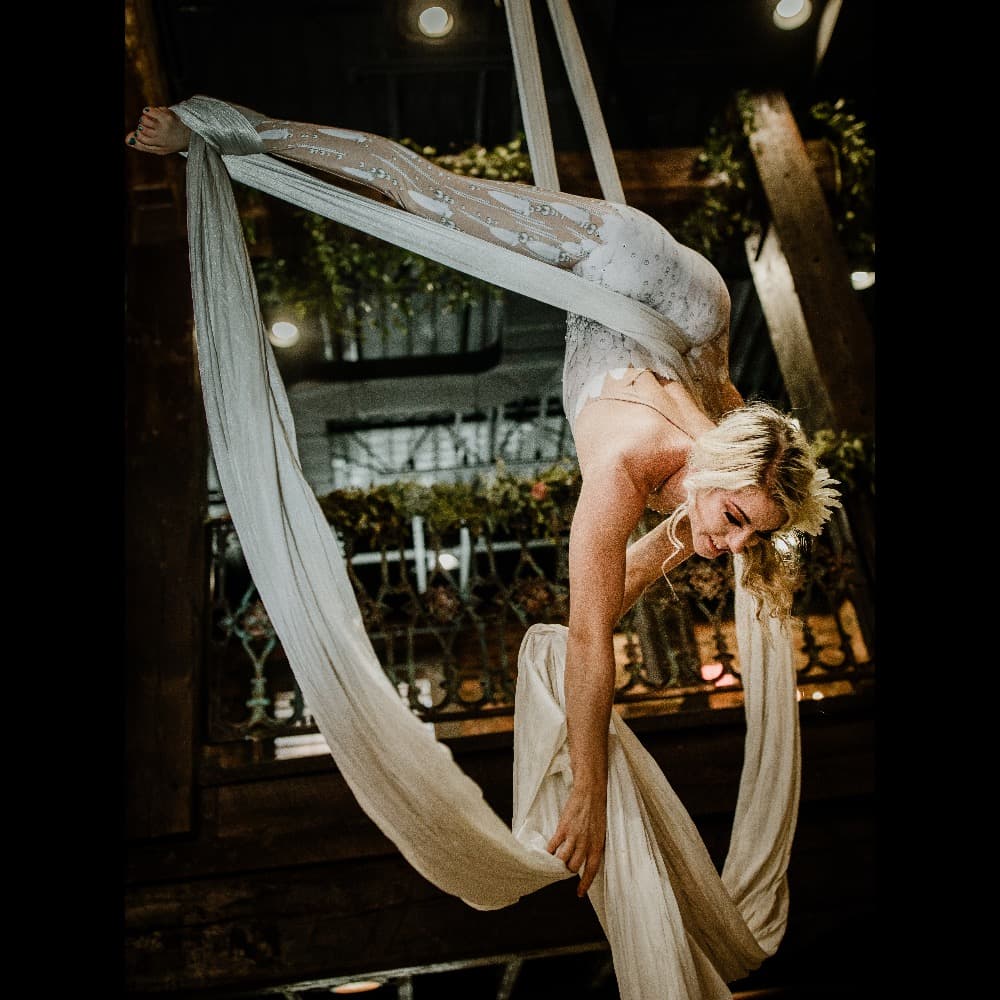 Aerialists- Nashville Image #3