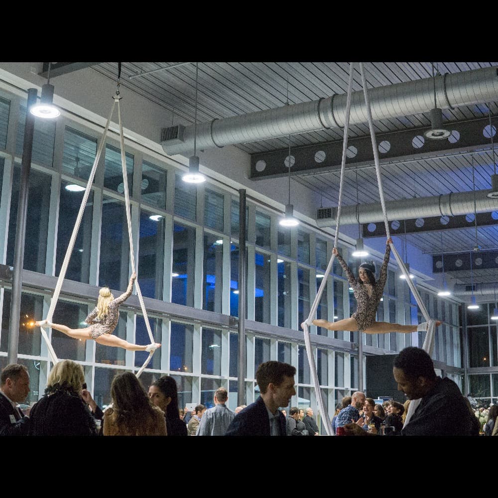 Aerialists- Nashville Image #4