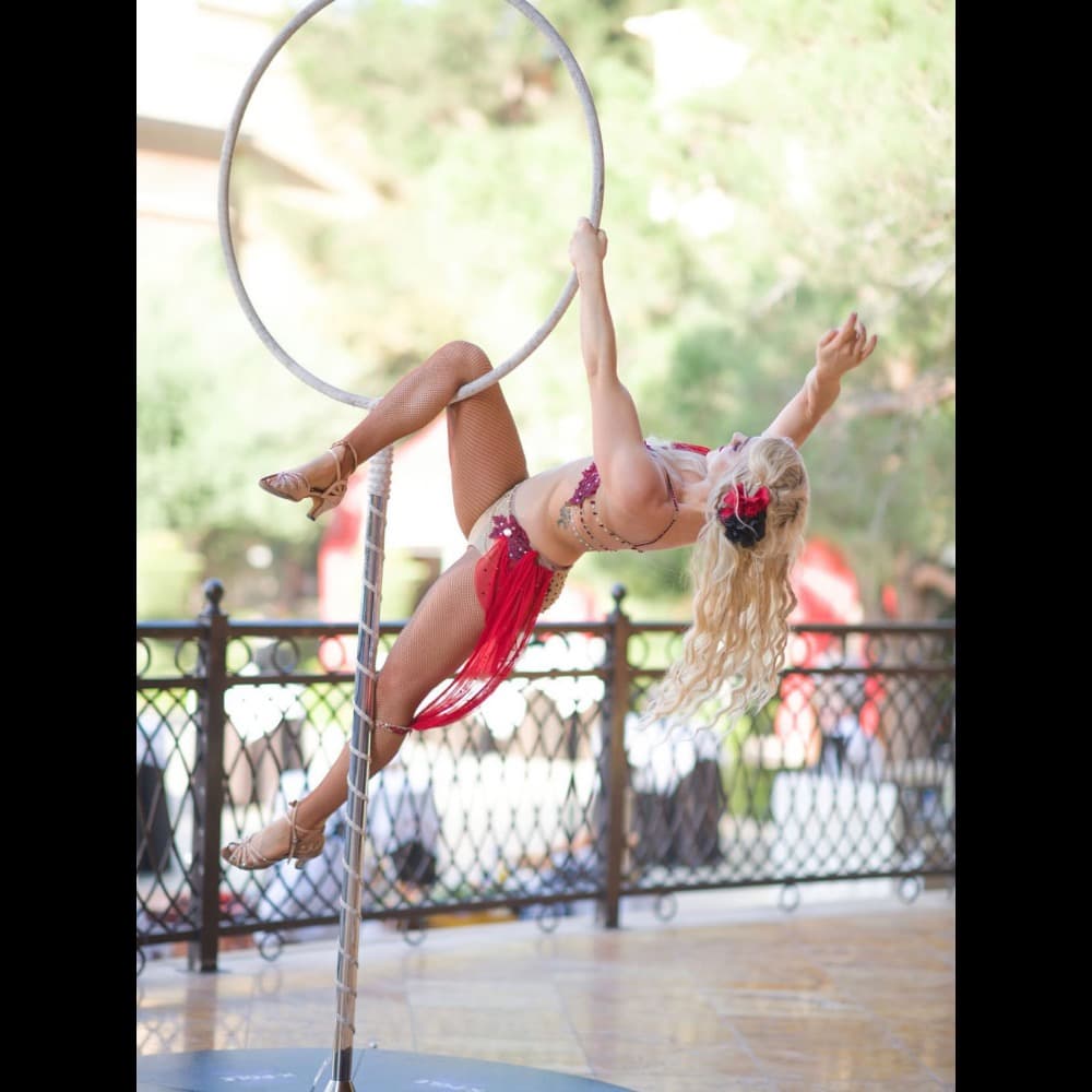 Aerialists Image #0