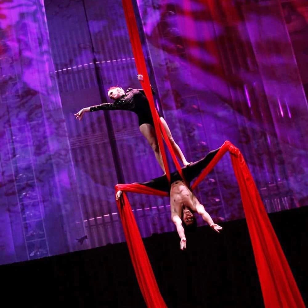 Aerialists Image #4