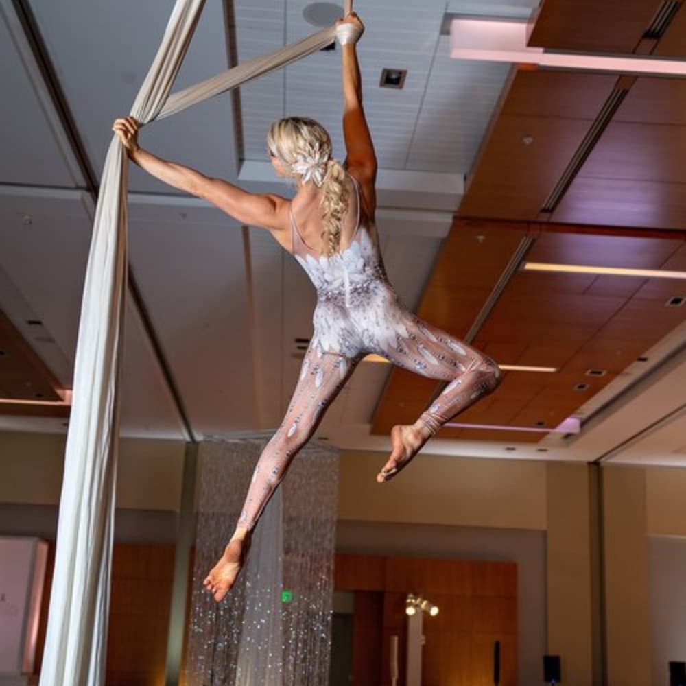 Aerialist- Kansas City Image #0