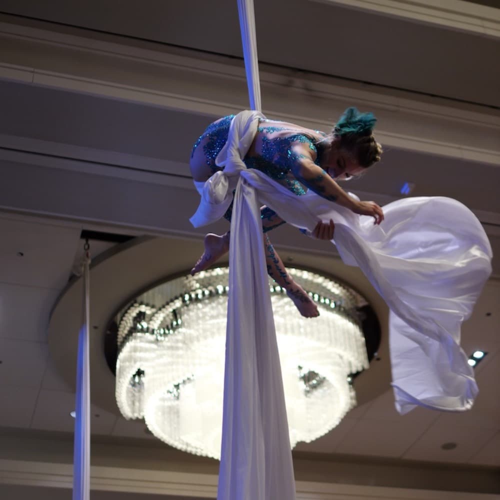 Aerialist- Kansas City Image #1