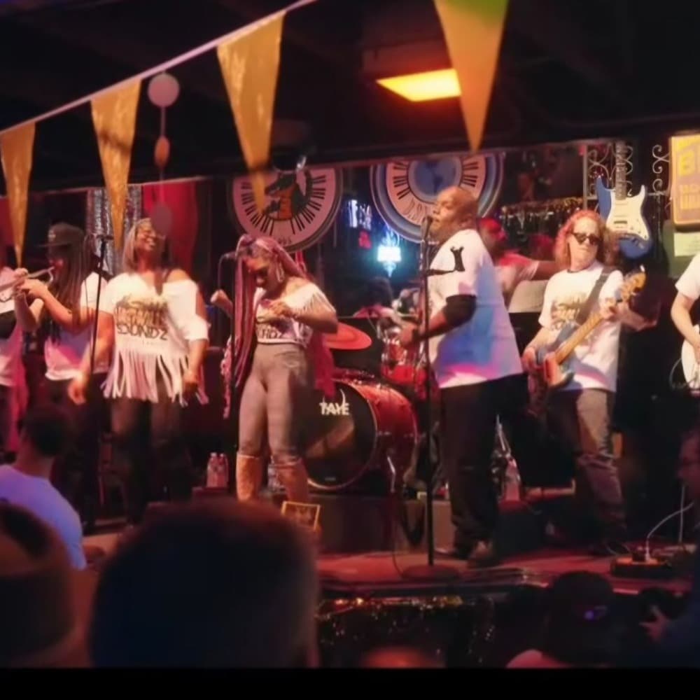 The Nashville Soundz Party Band Image #1