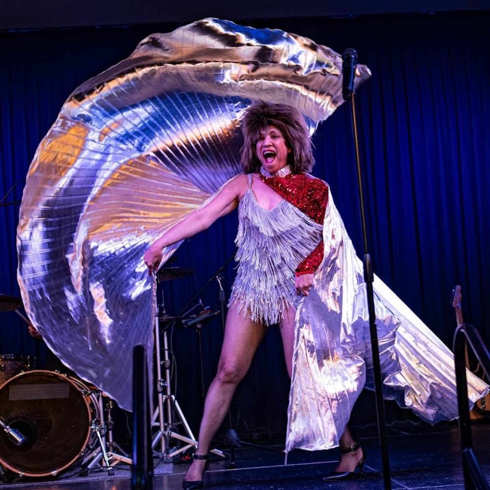 Always Tina   The Tribute To Tina Turner Image #1