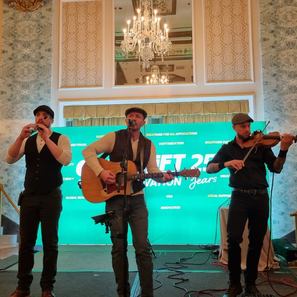 Gleeson Irish Trio Image #4
