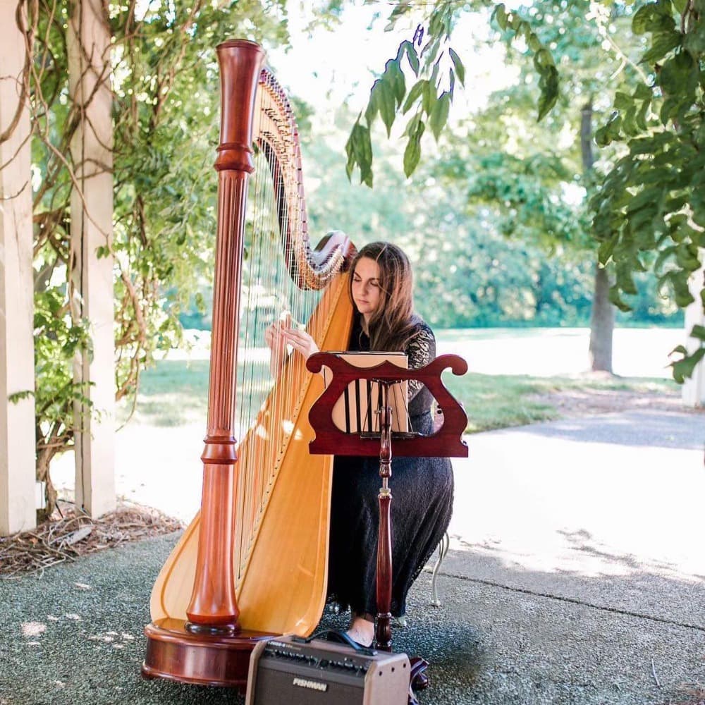 Liana Alpino, Harpist Image #3