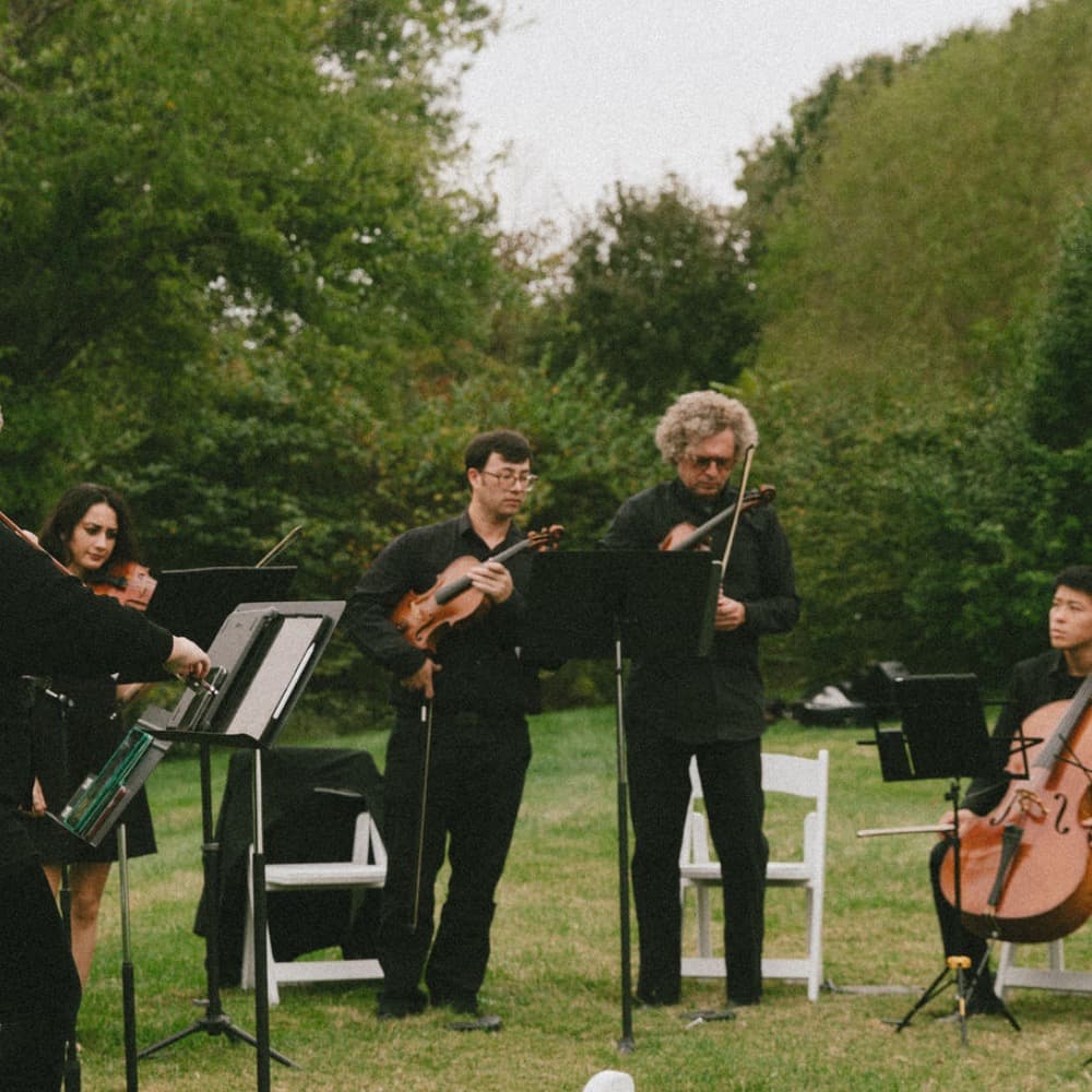 Rhose Studio Strings Image #1