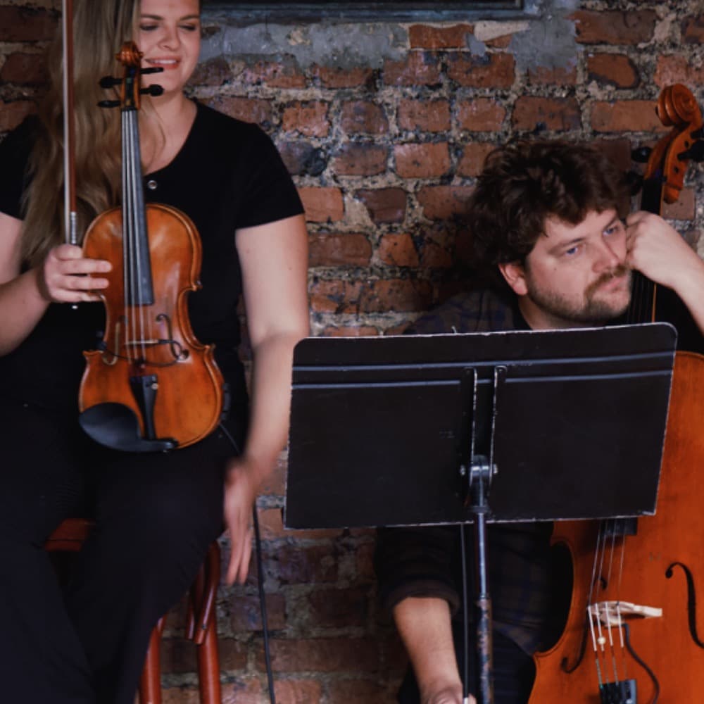 Rhose Studio Strings Image #3