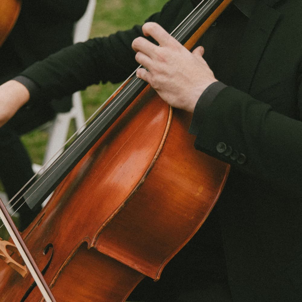 Rhose Studio Strings Image #4