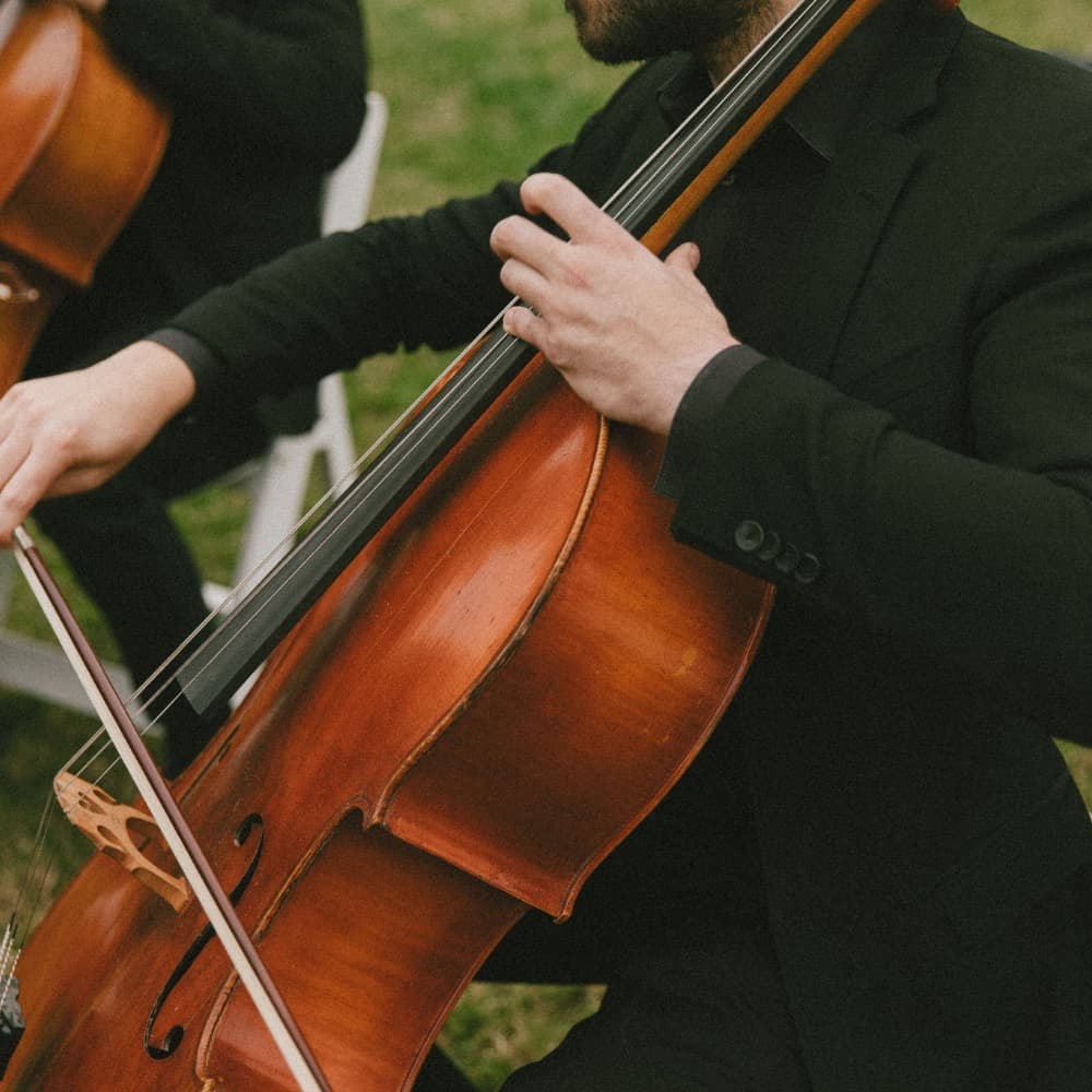 Rhose Studio Strings Profile Picture