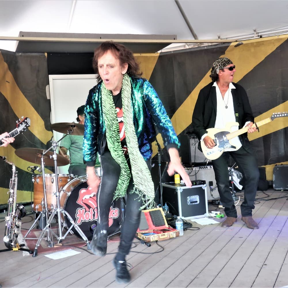 Hot Rocks Band/A Rolling Stones Tribute Celebration Image #5