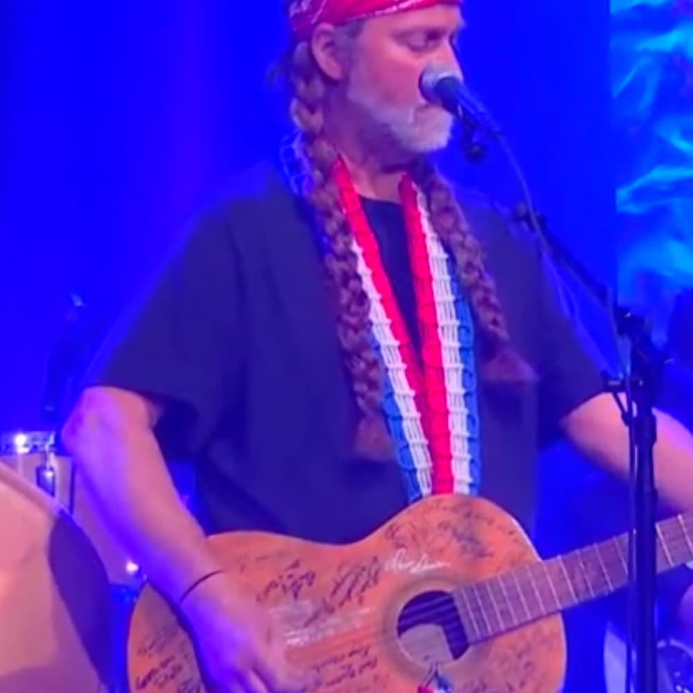 The  Redheaded  Stranger, Willie Nelson tribute Image #1