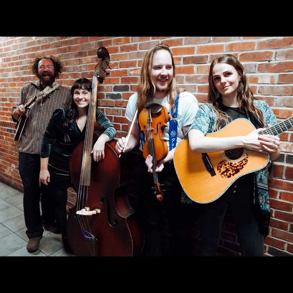 Mama Said String Band Image #1