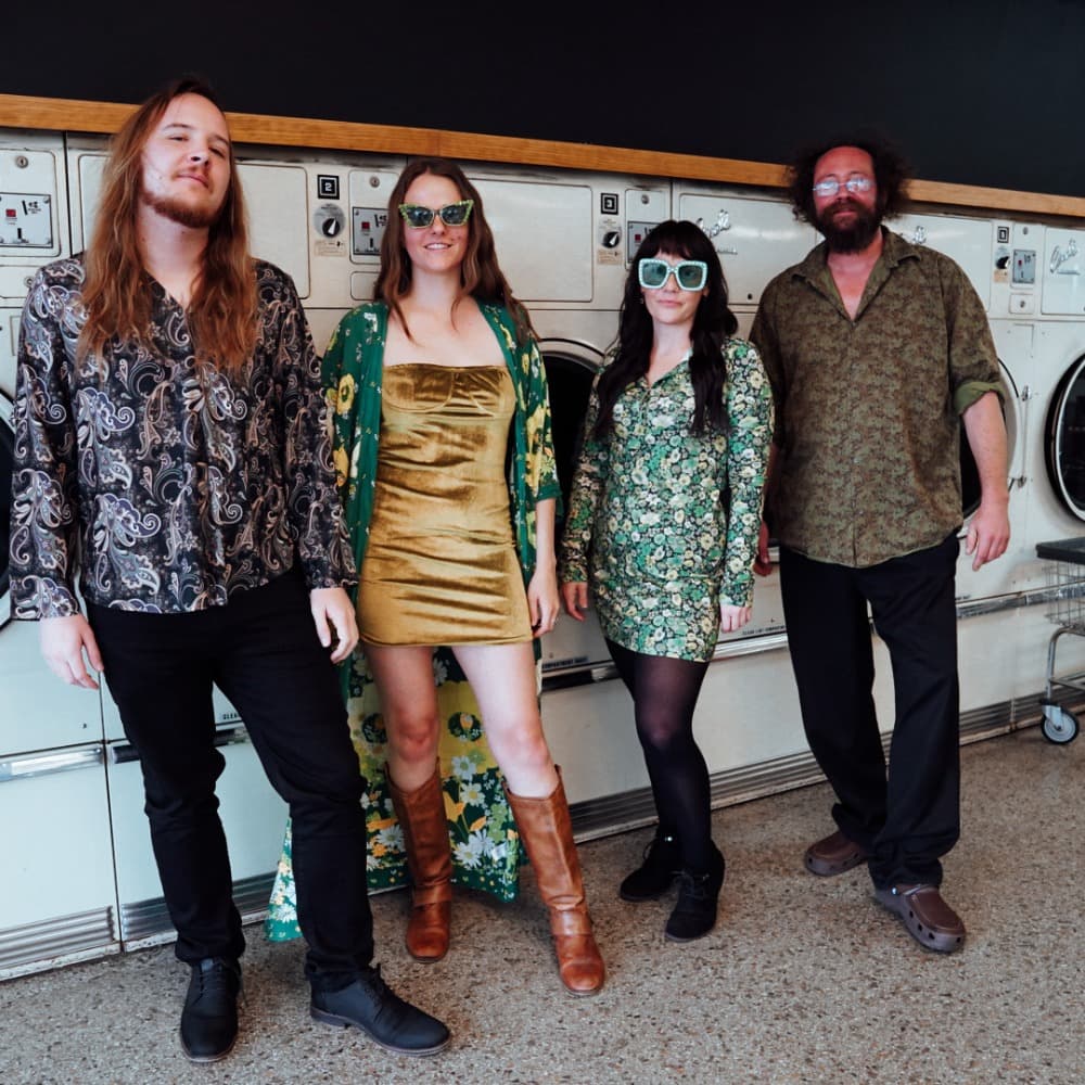 Mama Said String Band Image #3