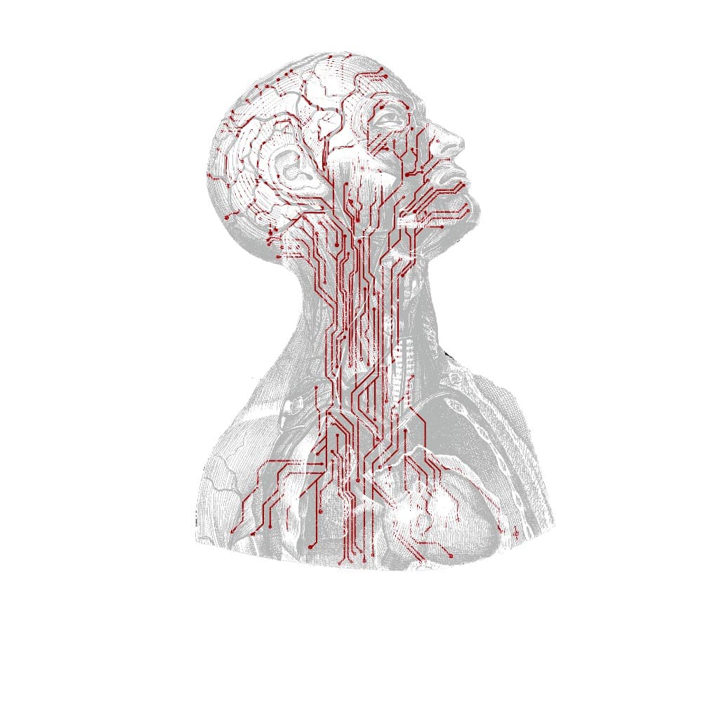 The Human Circuit Profile Picture