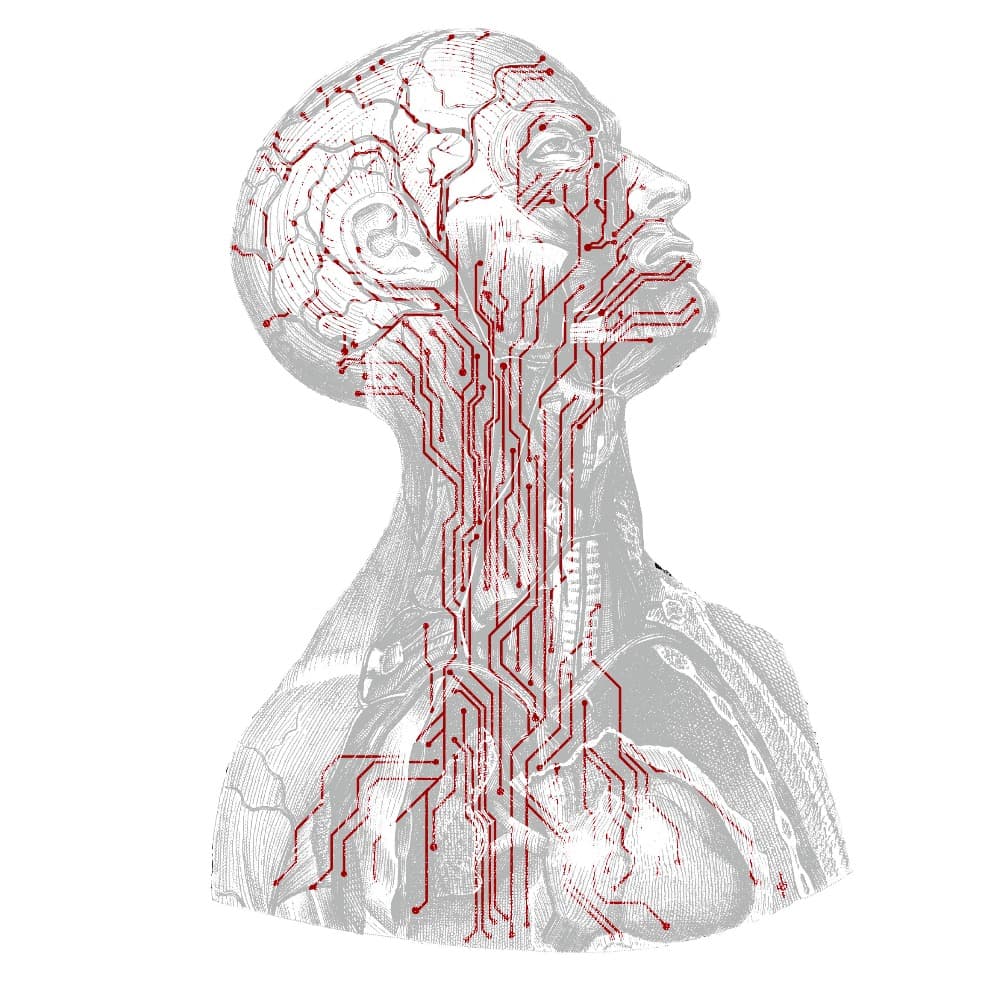 The Human Circuit Image #0