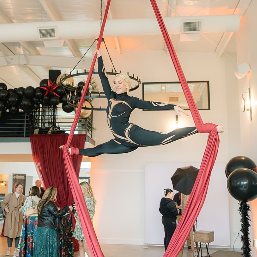 Goodness Gracious Aerialists