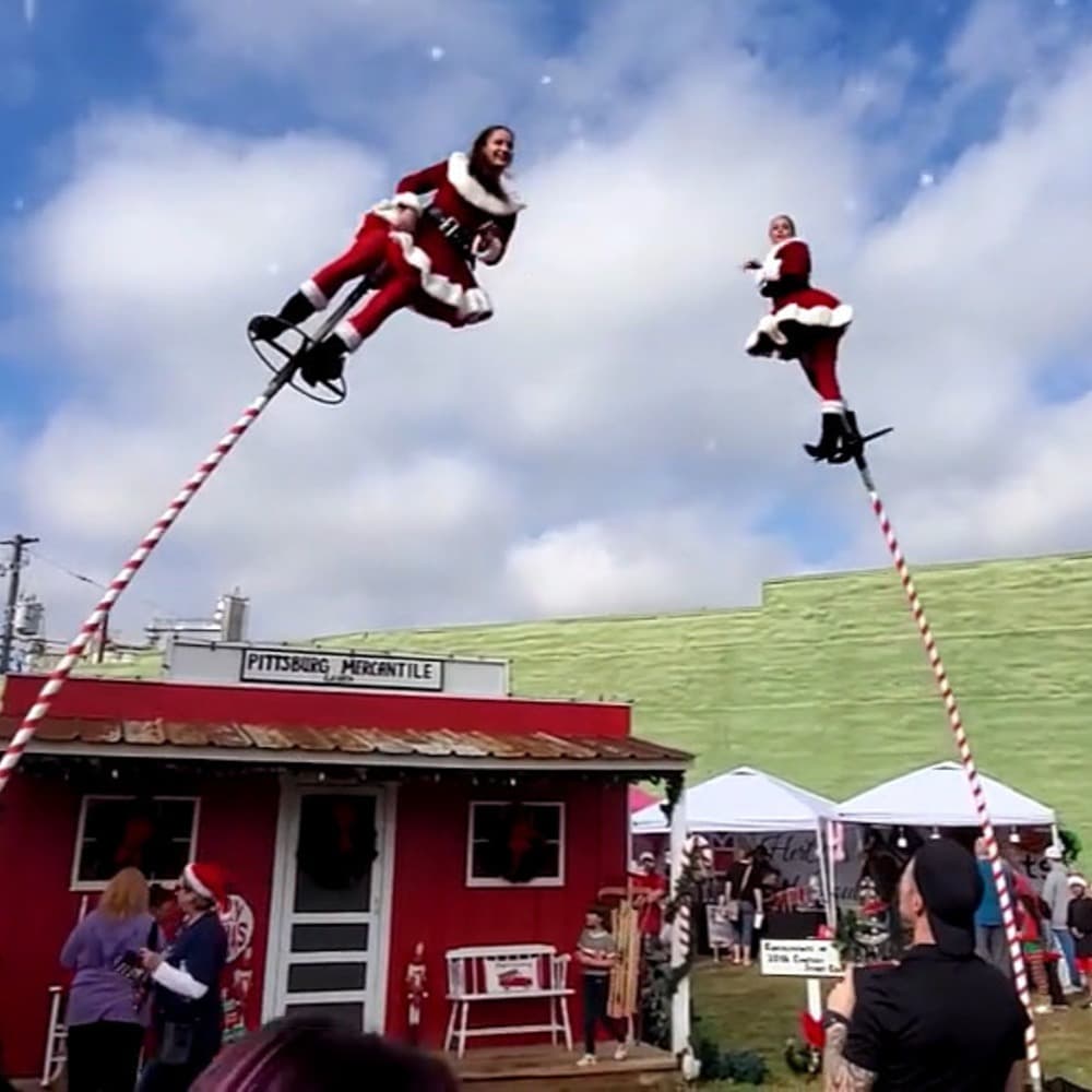 Sway Poles Image #1