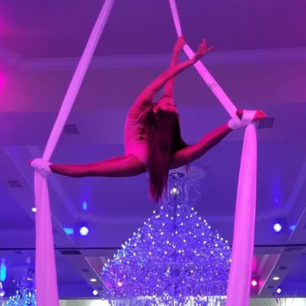Aerial Silk Performer