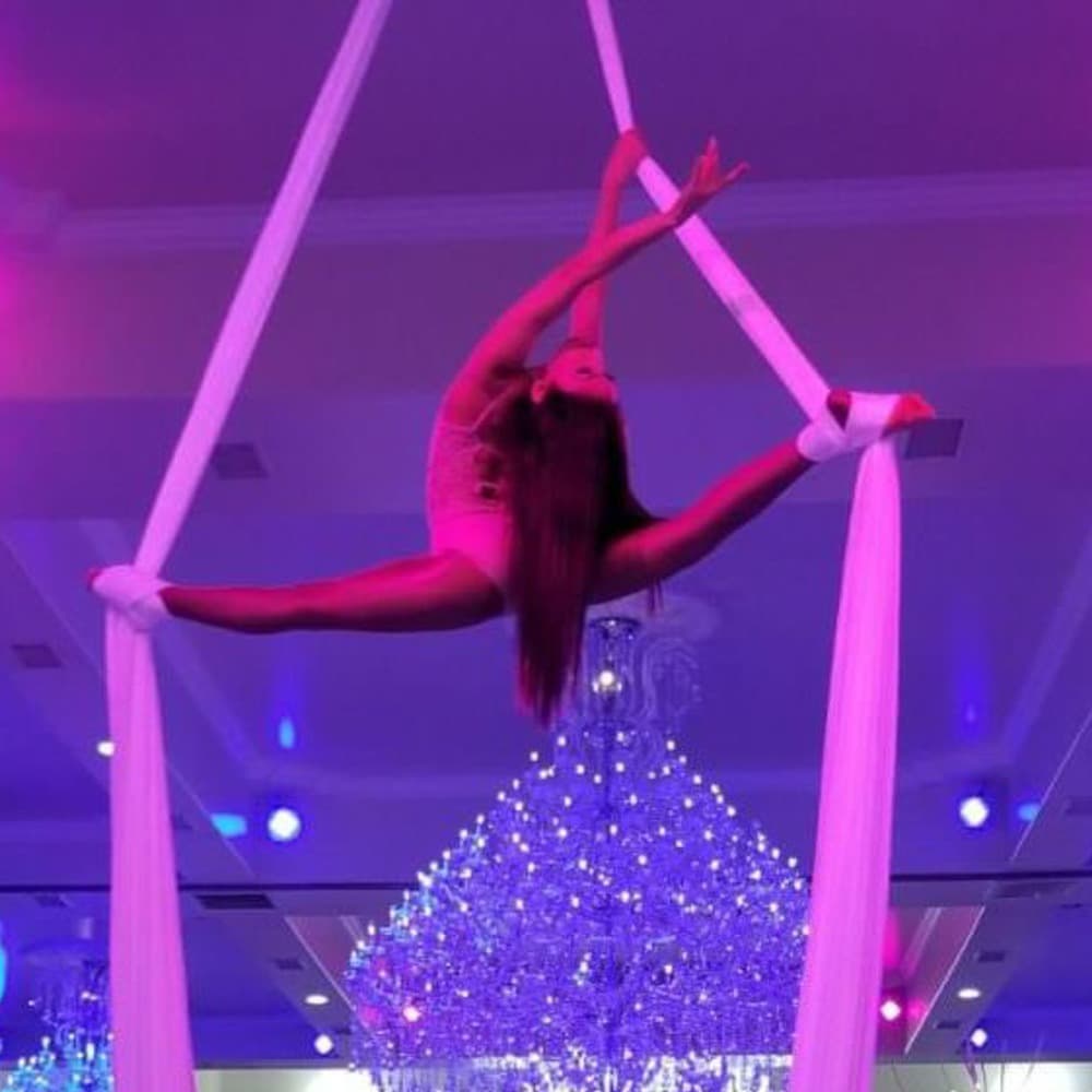 Aerial Silk Performer Image #0