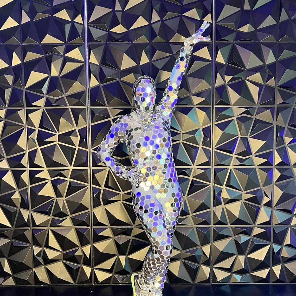 Disco Ninja