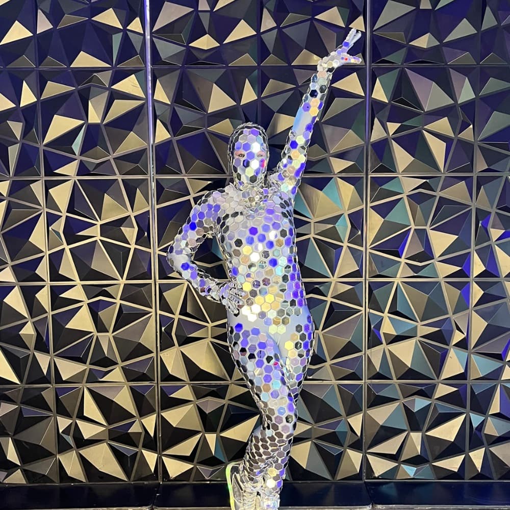 Disco Ninja Image #0