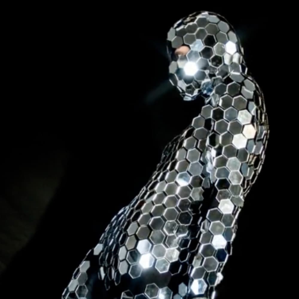Disco Ninja Image #1