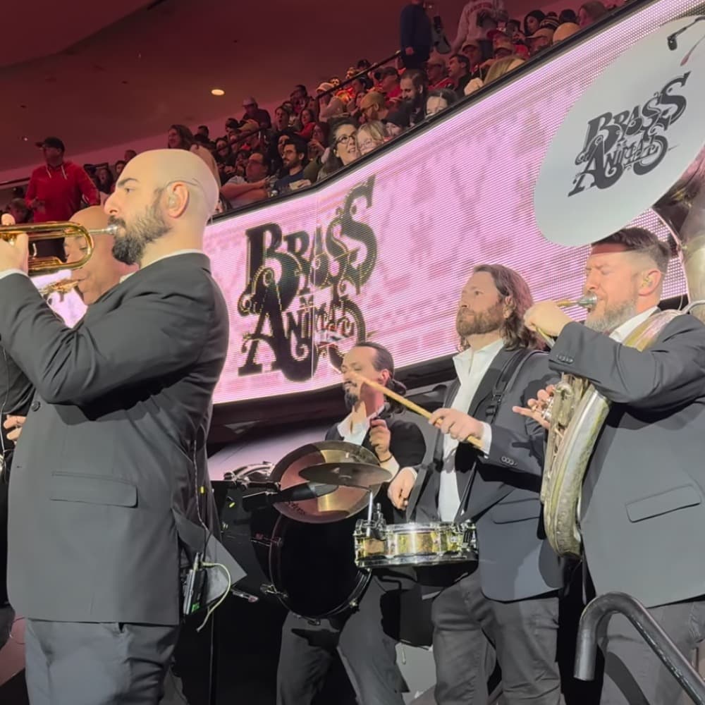 Brass Animals Chicago Profile Picture