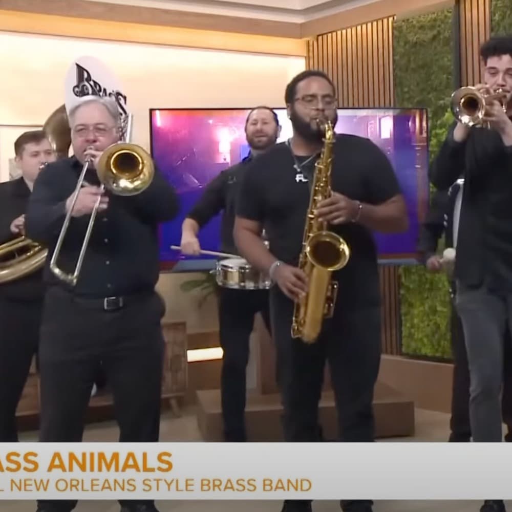 Brass Animals Charlotte Profile Picture