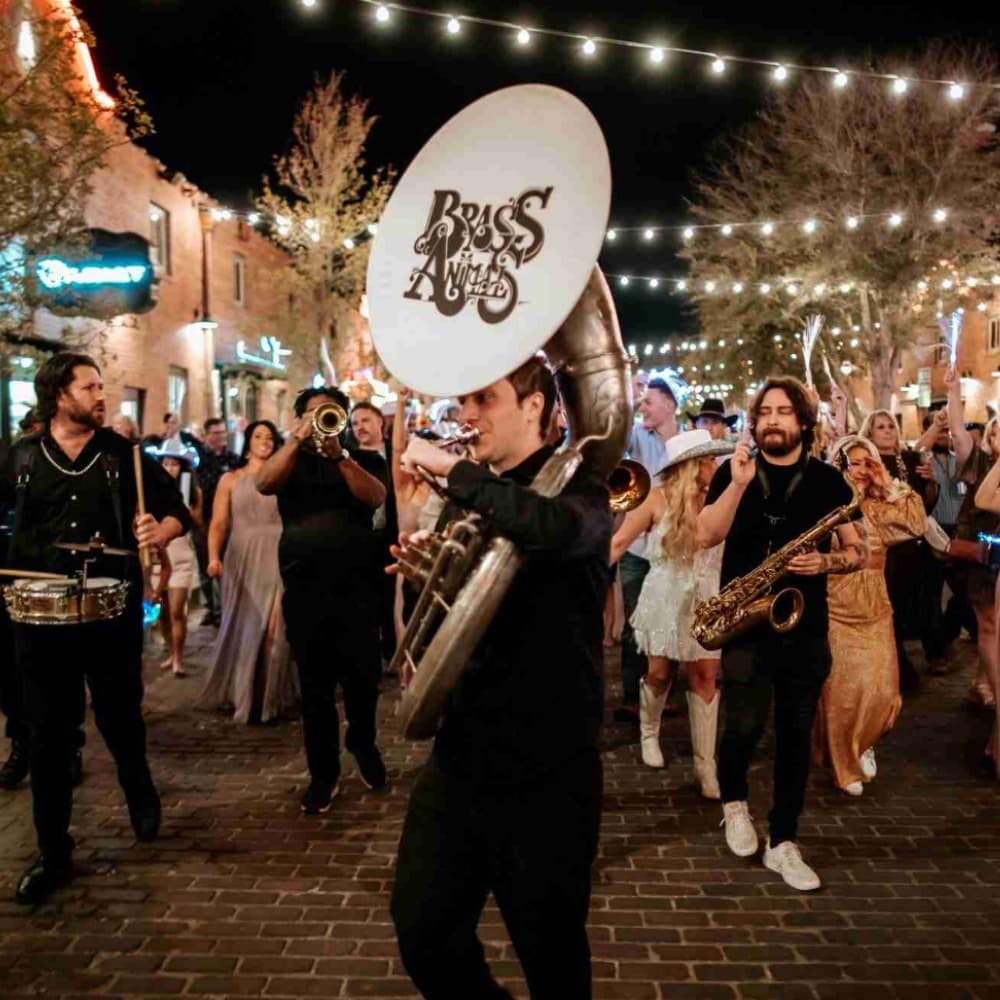 Brass Animals San Antonio